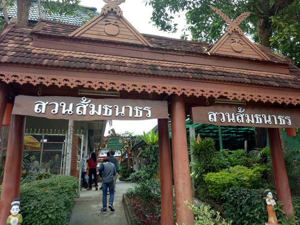ไร่ส้มธนาธร อ.ฝาง จ.เชียงราย