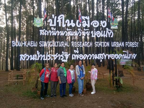 สวนสนบ่อแก้ว อ.ฮอด จ.เชียงใหม่